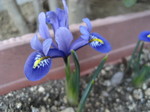 IMG_0195.JPG