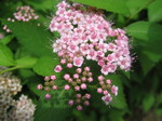 IMG_0318.JPG
