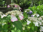 IMG_0320.JPG