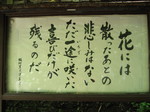 IMG_0358.JPG