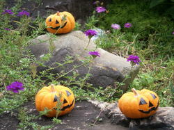 PICT0021.JPG
